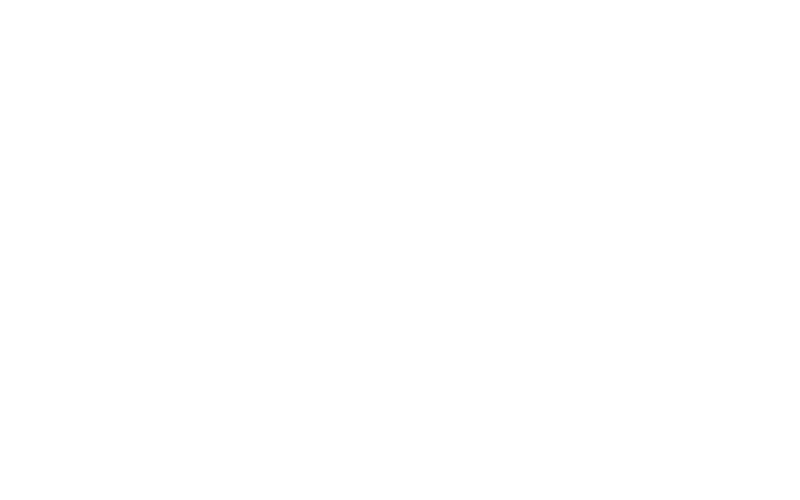 Property Agent